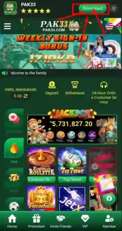 33 pak interface