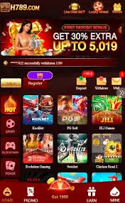 H789 Game interface